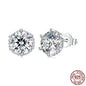 Elegant S925 Sterling Silver Ear Studs