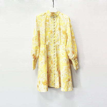 Lantern Sleeve Dress